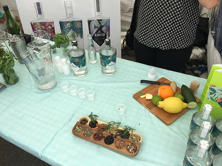 Cornwall Gin Festival